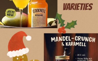 Deux nouvelles variétés de Moonshine